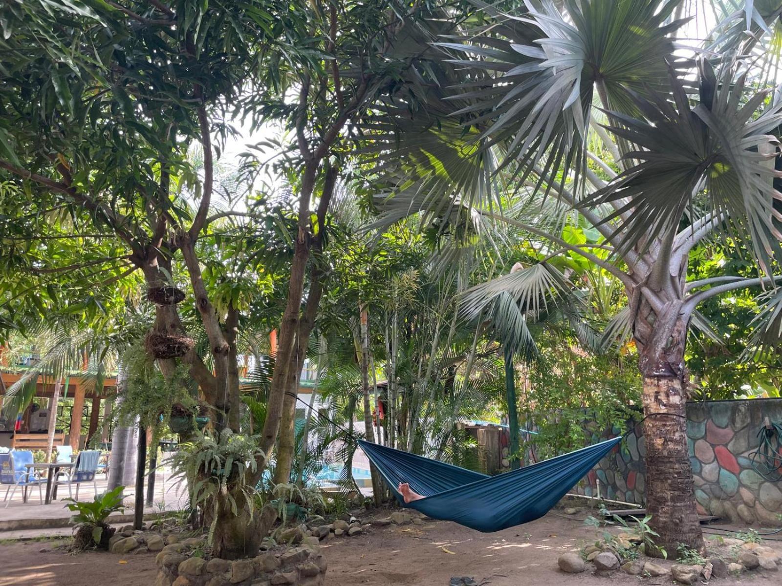 Hostal Luz De Luna Palomino Zewnętrze zdjęcie